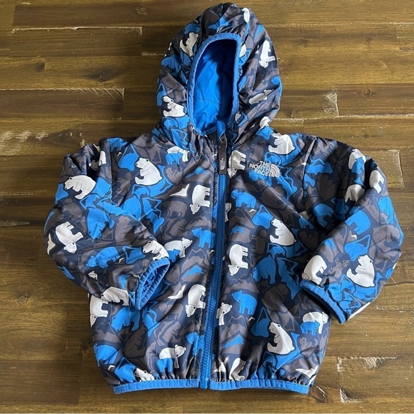 The North Face Other - The North Face  Blue Bear Print Jacket